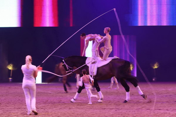 Pferde2013   066.jpg